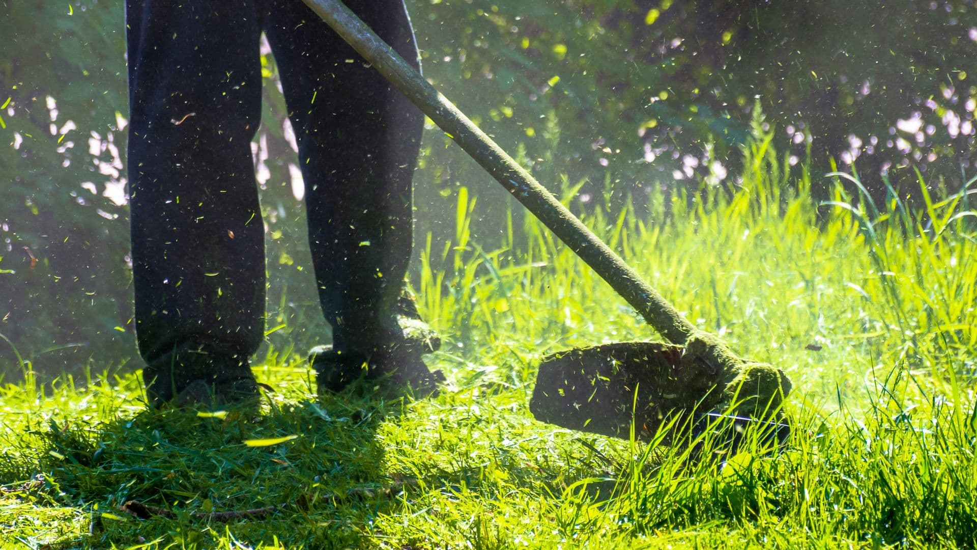 Lawn care service crew member trimming grown grass