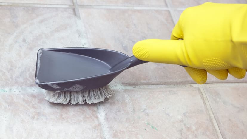 https://www.taskbird.com/_next/image?url=https%3A%2F%2Fstark-shiny-house.media.strapiapp.com%2FTile_cleaning_brush_ac50fea8a7.jpg&w=828&q=75